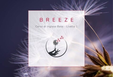 corso di inglese base livello 1 breeze
