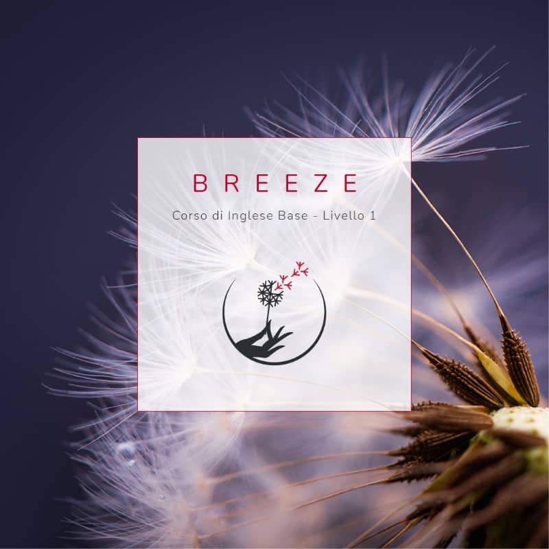 corso di inglese base livello 1 breeze