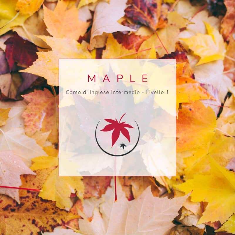 corso di inglese intermedio livello 1 maple