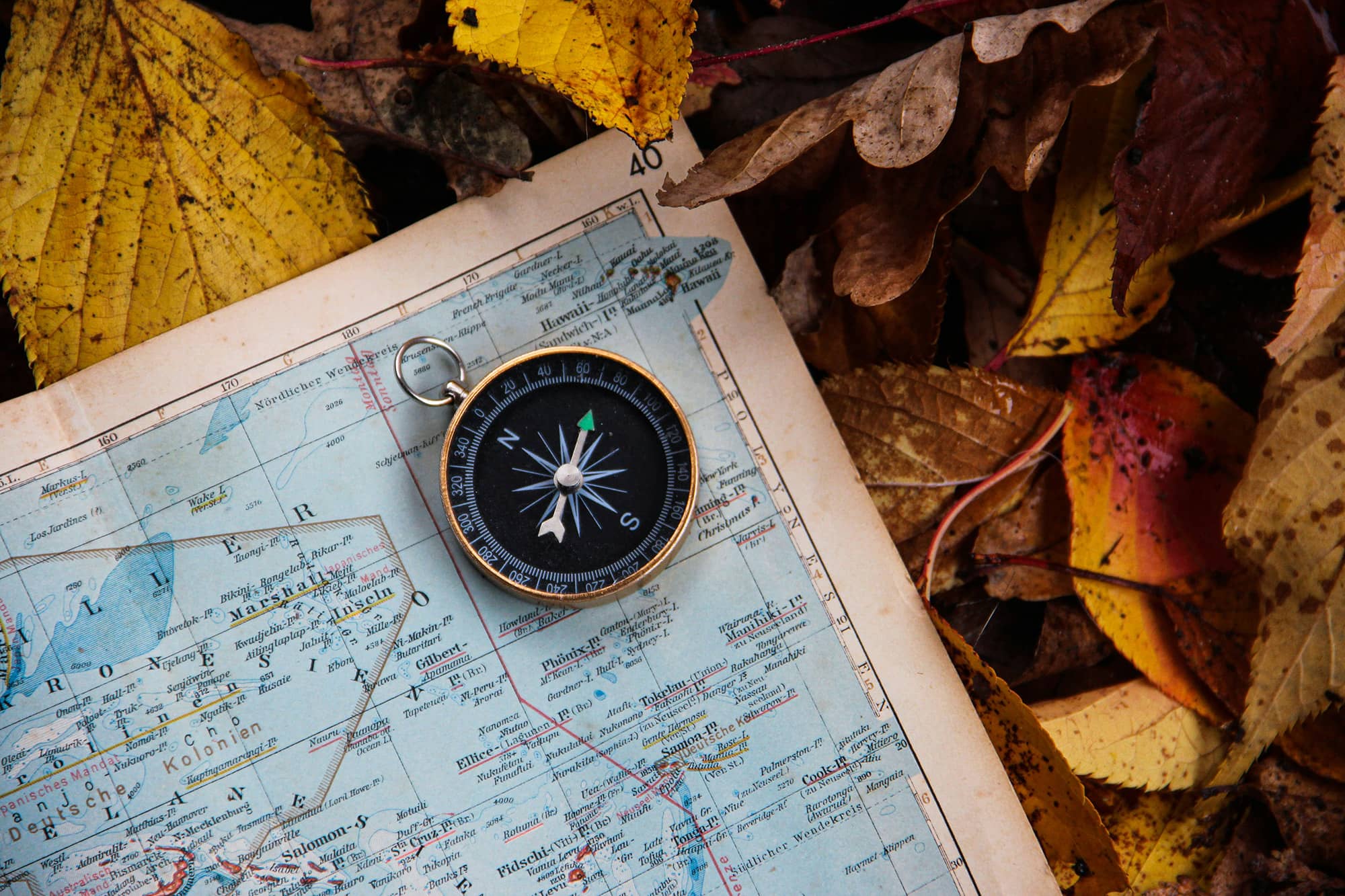 test bussola - photo credits: denis jans su unsplash