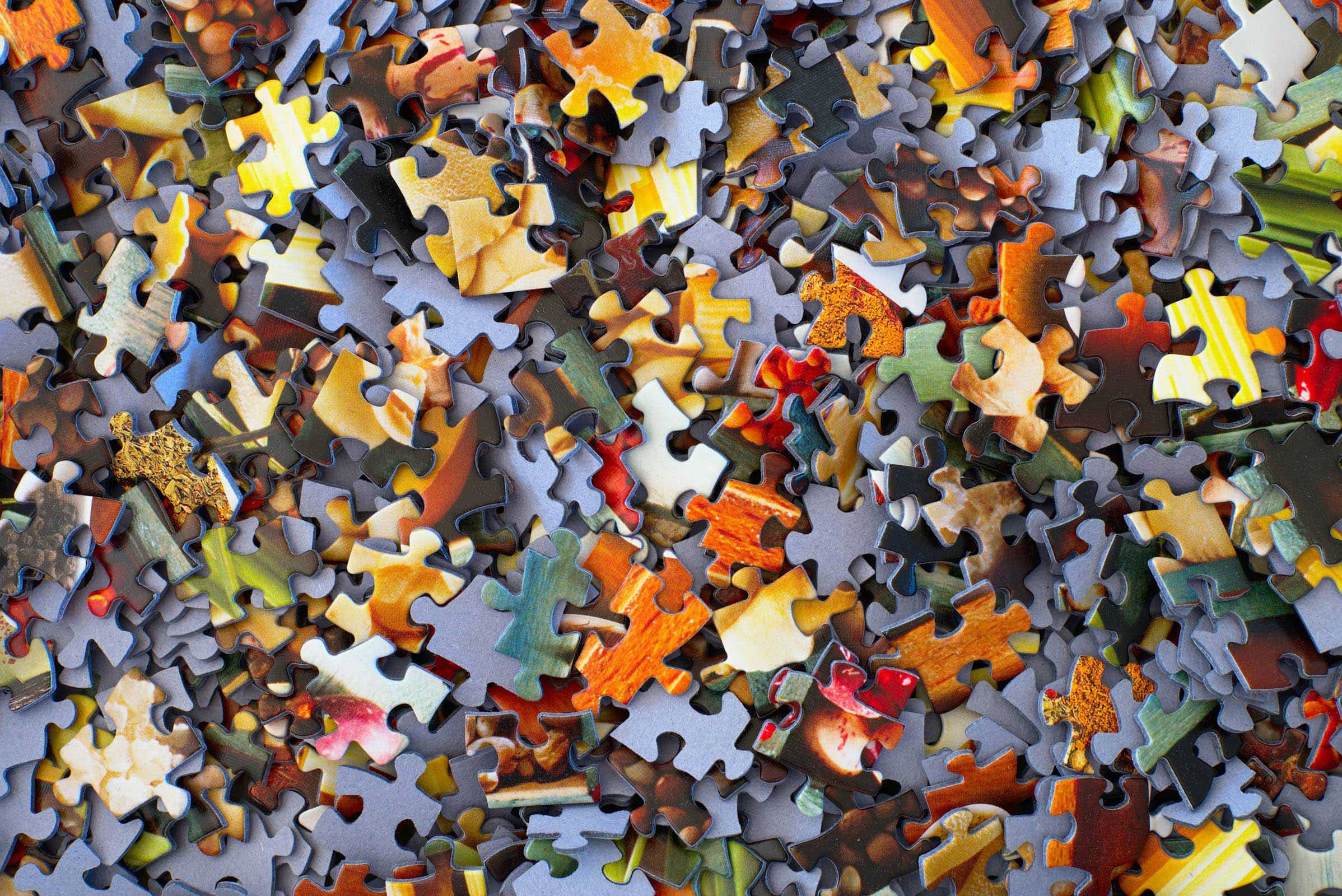 puzzle - chi siamo - Foto di Hans-Peter Gauster su Unsplash