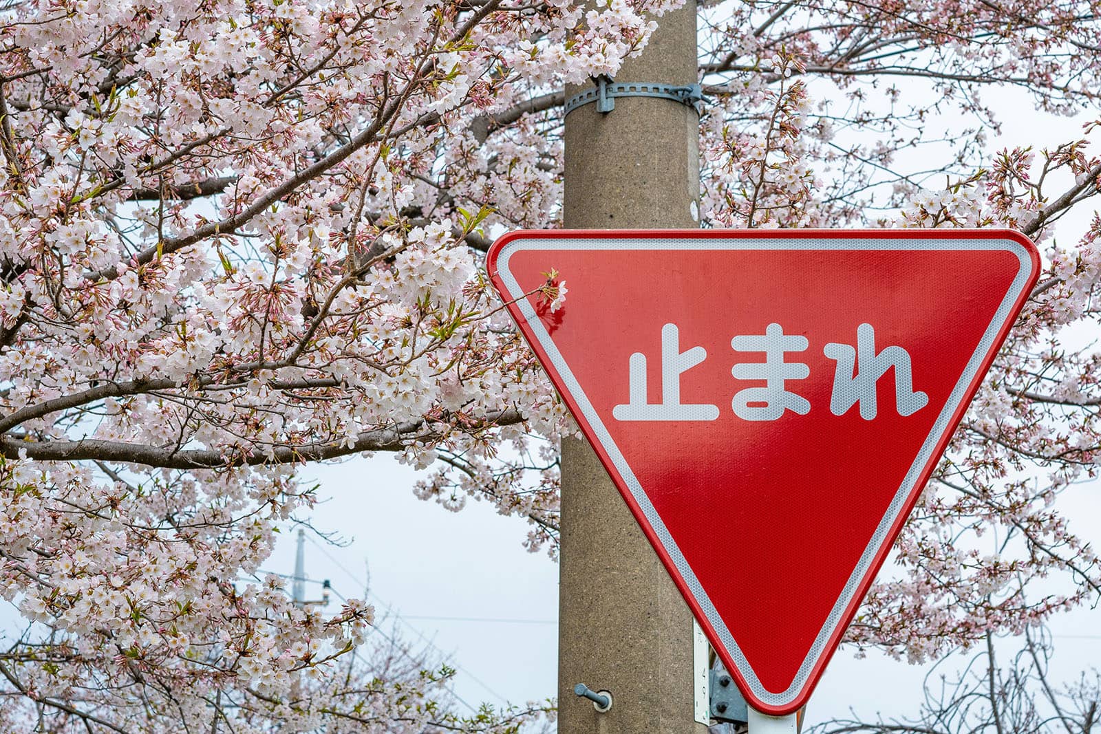 kanji stop segnale